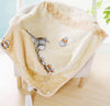 Aden Anais High Quality Plush Receiving Blanket