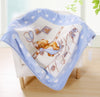 Aden Anais High Quality Plush Receiving Blanket